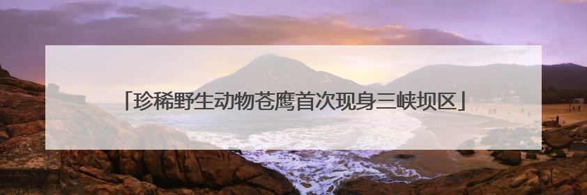 珍稀野生动物苍鹰首次现身三峡坝区