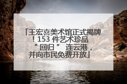 王宏喜美术馆正式揭牌！153 件艺术珍品 “ 回归 ” 连云港，并向市民免费开放