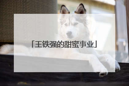 王铁强的甜蜜事业
