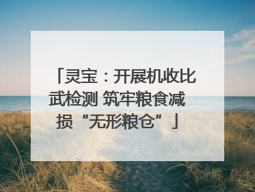 灵宝：开展机收比武检测 筑牢粮食减损“无形粮仓”