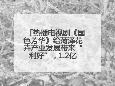 热播电视剧《国色芳华》给菏泽花卉产业发展带来“利好”，1.2亿枝芍药鲜切花绽放“国色芳华”
