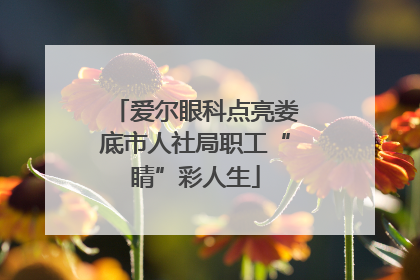爱尔眼科点亮娄底市人社局职工“睛”彩人生