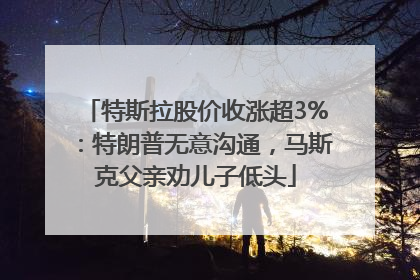 特斯拉股价收涨超3%：特朗普无意沟通，马斯克父亲劝儿子低头