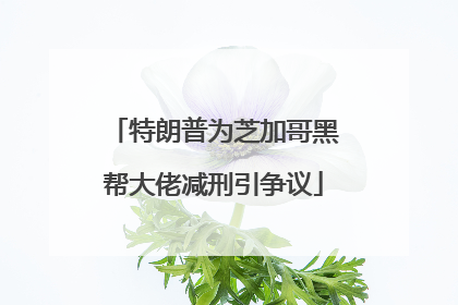 特朗普为芝加哥黑帮大佬减刑引争议