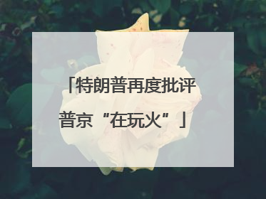 特朗普再度批评普京“在玩火”