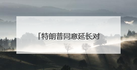 特朗普同意延长对欧盟商品征收50%关税的最后期限