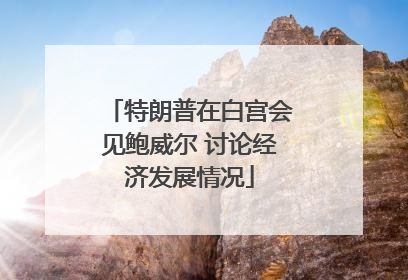 特朗普在白宫会见鲍威尔 讨论经济发展情况