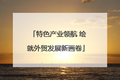 特色产业领航 绘就外贸发展新画卷
