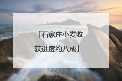 石家庄小麦收获进度约八成
