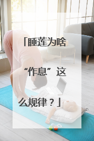 睡莲为啥“作息”这么规律？