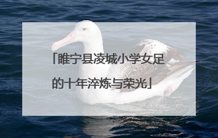 睢宁县凌城小学女足的十年淬炼与荣光