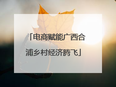 电商赋能广西合浦乡村经济腾飞