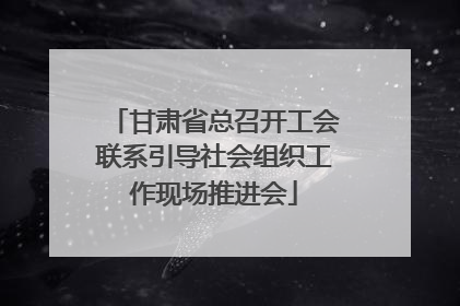 甘肃省总召开工会联系引导社会组织工作现场推进会