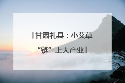甘肃礼县：小艾草“链”上大产业