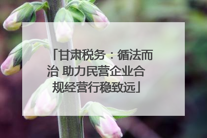 甘肃税务：循法而治 助力民营企业合规经营行稳致远