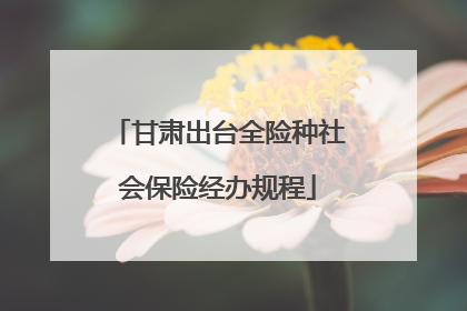 甘肃出台全险种社会保险经办规程