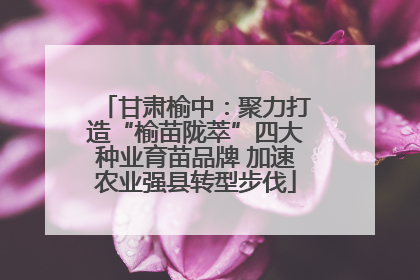 甘肃榆中：聚力打造“榆苗陇萃”四大种业育苗品牌 加速农业强县转型步伐