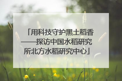 用科技守护黑土稻香——探访中国水稻研究所北方水稻研究中心