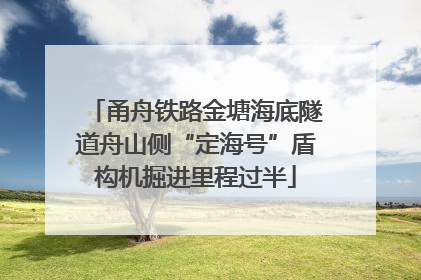 甬舟铁路金塘海底隧道舟山侧“定海号”盾构机掘进里程过半