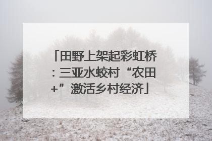田野上架起彩虹桥：三亚水蛟村“农田+”激活乡村经济