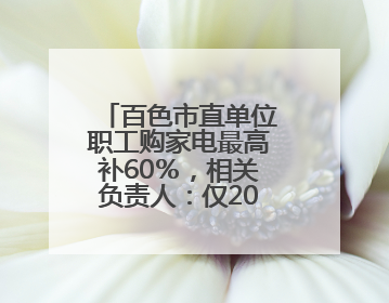 百色市直单位职工购家电最高补60％，相关负责人：仅200个名额，不会严格筛查身份