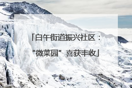 白午街道振兴社区：“微菜园”喜获丰收