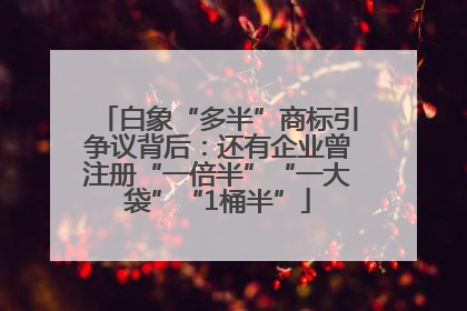 白象“多半”商标引争议背后：还有企业曾注册“一倍半”“一大袋”“1桶半”
