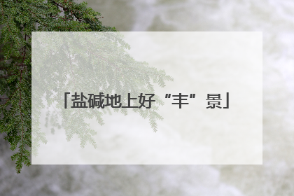 盐碱地上好“丰”景