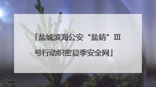 盐城滨海公安“盐靖”Ⅲ号行动织密夏季安全网