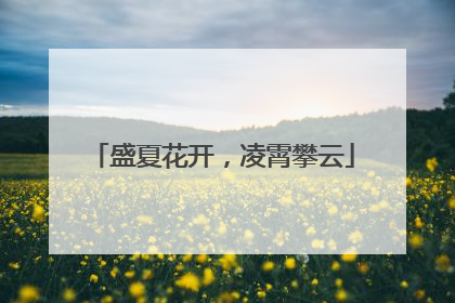 盛夏花开，凌霄攀云