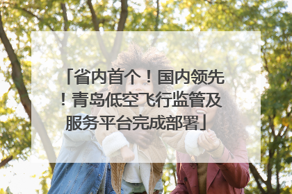 省内首个！国内领先！青岛低空飞行监管及服务平台完成部署