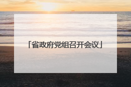 省政府党组召开会议