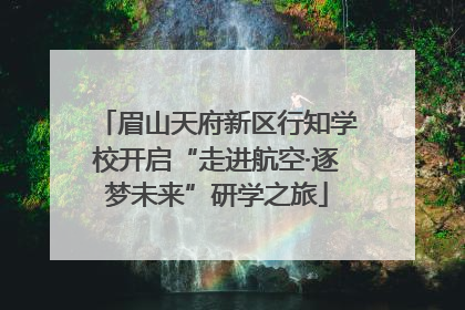 眉山天府新区行知学校开启“走进航空·逐梦未来”研学之旅