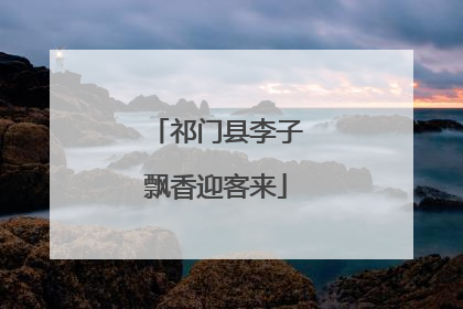 祁门县李子飘香迎客来