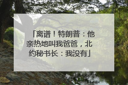 离谱！特朗普：他亲热地叫我爸爸，北约秘书长：我没有