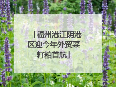 福州港江阴港区迎今年外贸菜籽粕首航