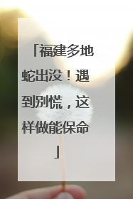福建多地蛇出没！遇到别慌，这样做能保命