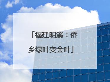 福建明溪：侨乡绿叶变金叶
