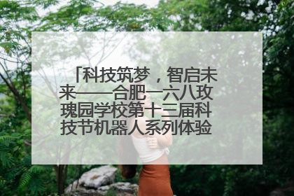 科技筑梦，智启未来——合肥一六八玫瑰园学校第十三届科技节机器人系列体验赛燃动校园