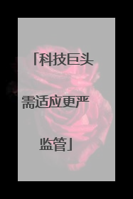 科技巨头需适应更严监管