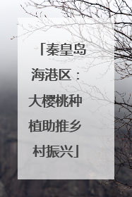 秦皇岛海港区：大樱桃种植助推乡村振兴