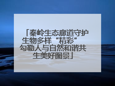 秦岭生态廊道守护生物多样“精彩” 勾勒人与自然和谐共生美好图景