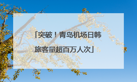 突破！青岛机场日韩旅客量超百万人次