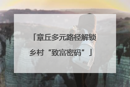 章丘多元路径解锁乡村“致富密码”