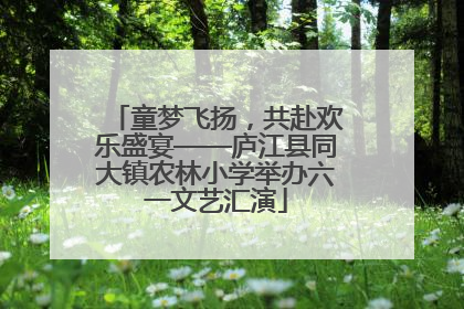 童梦飞扬，共赴欢乐盛宴——庐江县同大镇农林小学举办六一文艺汇演