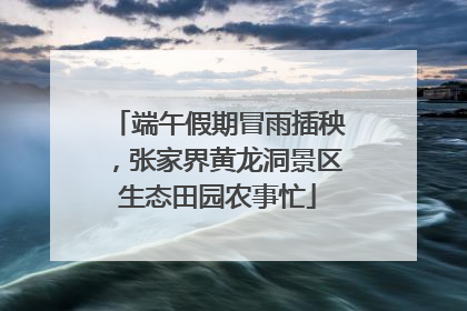 端午假期冒雨插秧，张家界黄龙洞景区生态田园农事忙