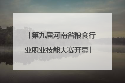 第九届河南省粮食行业职业技能大赛开幕