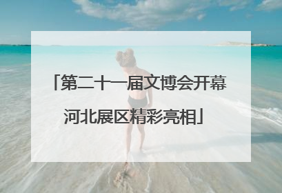 第二十一届文博会开幕 河北展区精彩亮相