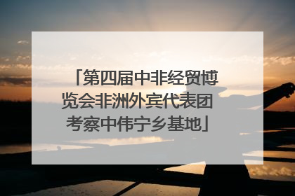 第四届中非经贸博览会非洲外宾代表团考察中伟宁乡基地