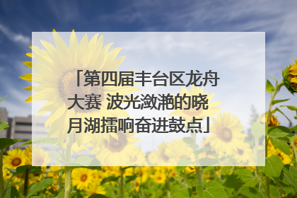 第四届丰台区龙舟大赛 波光潋滟的晓月湖擂响奋进鼓点